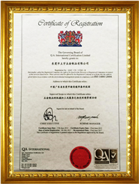 ISO 14001/2004 英文版